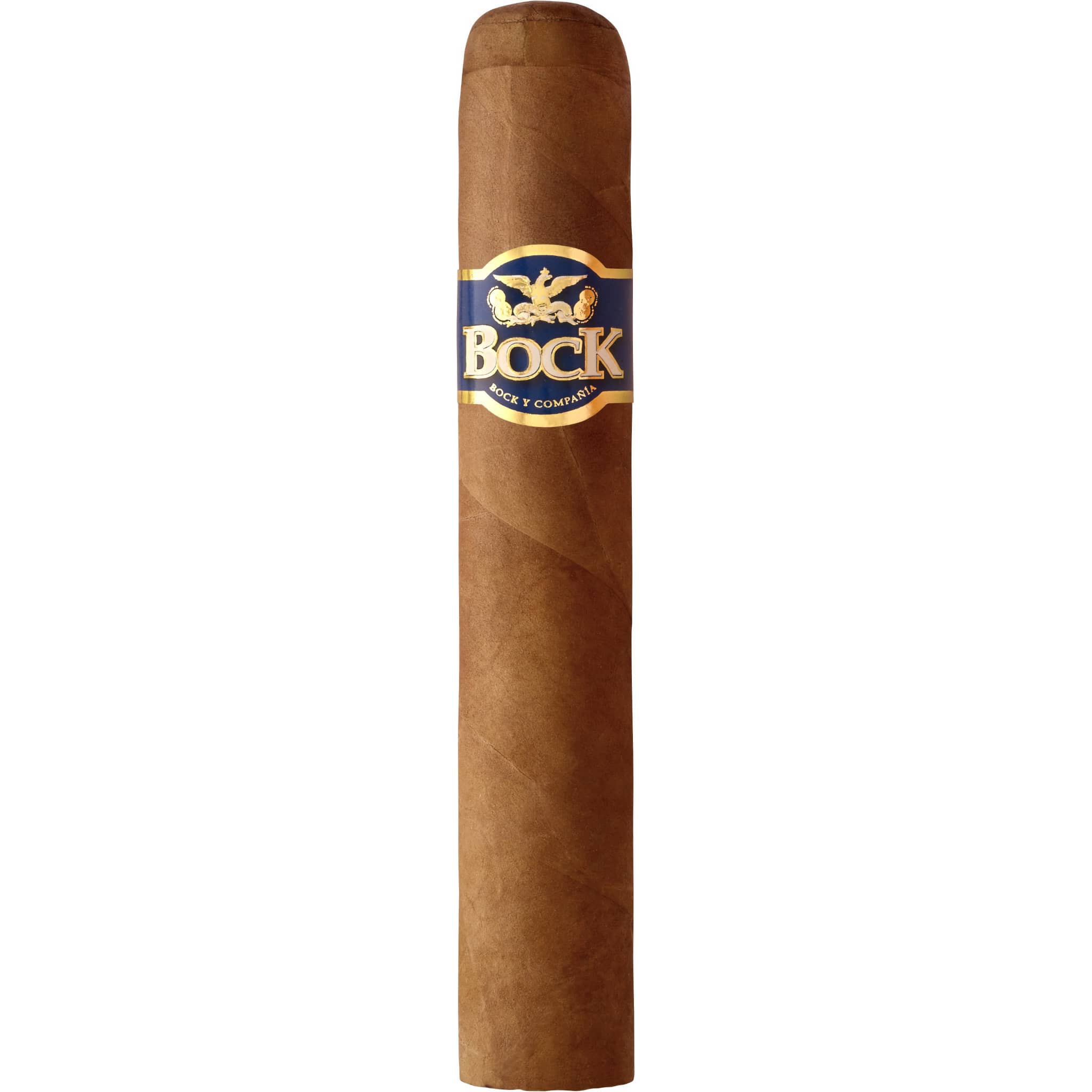Bock Robusto