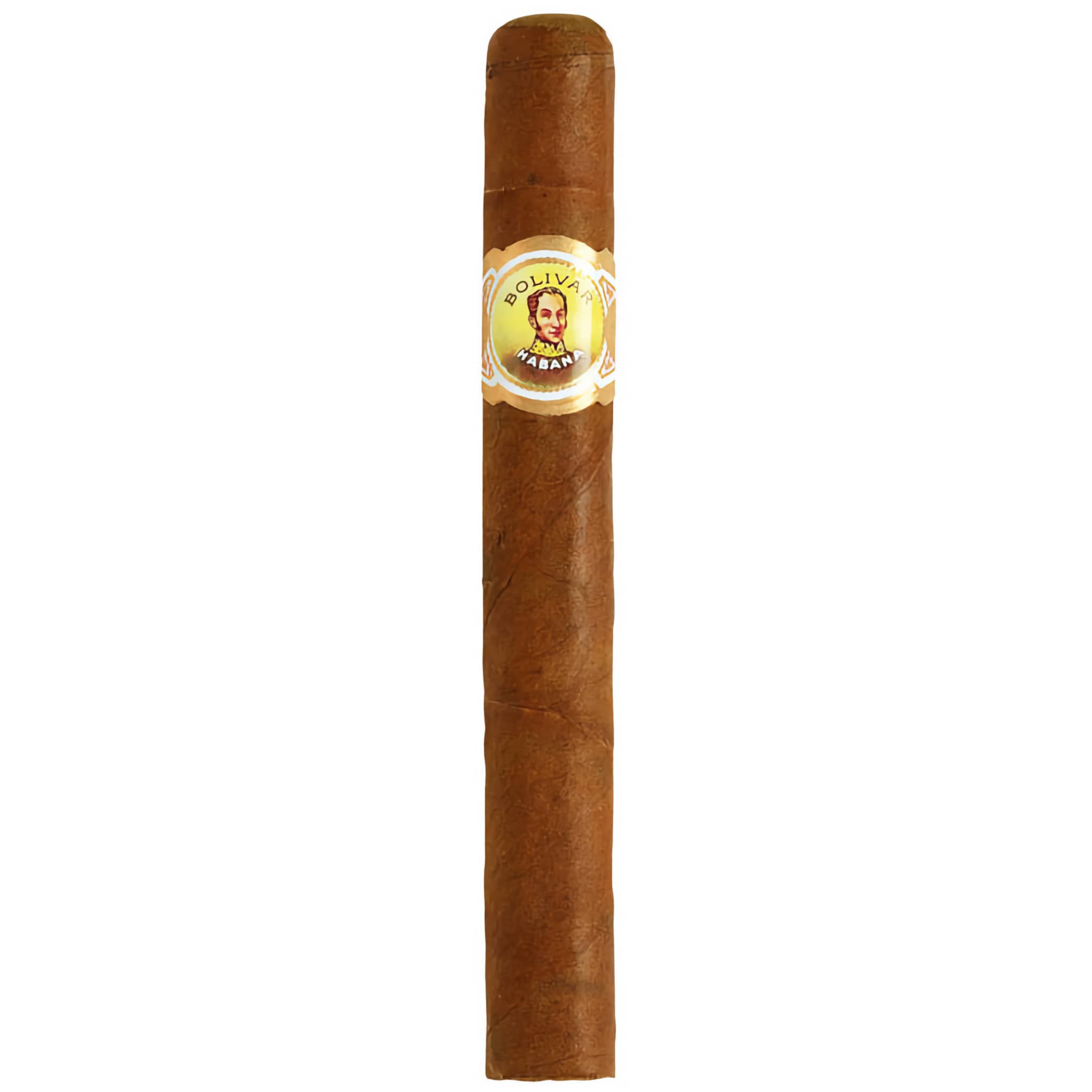 Bolivar Petit Coronas