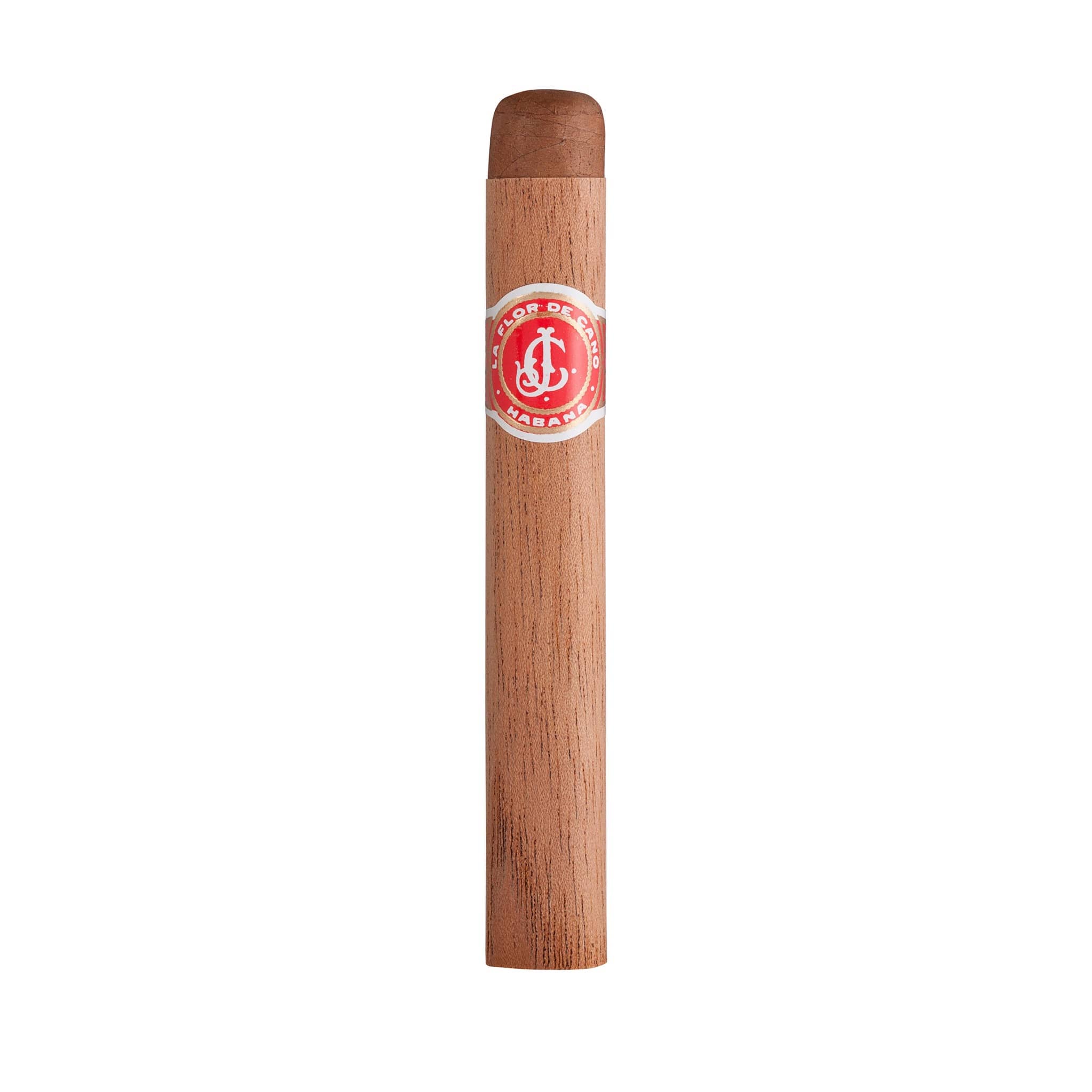 Flor de Cano Petit Corona